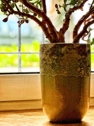 RÖSCH Apartment RÖSCH Apartment