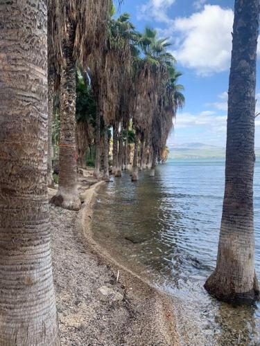Sea of Galilee Tiberius apartment with panoramic sea view in Tiberias
