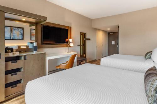 Cambria Hotel New Haven University Area - main image