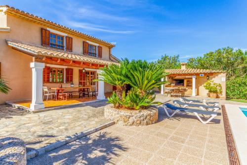 Pollensa - 3507-75 Mallorca - rei petit-, El Port (zdjęcie 4)