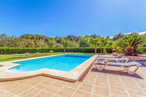 Pollensa - 3507-75 Mallorca - rei petit-, El Port (zdjęcie 5)
