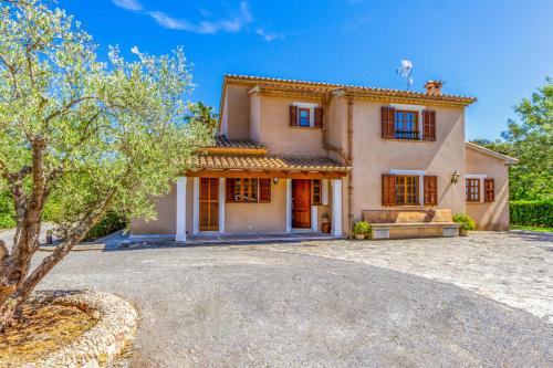 Pollensa - 3507-75 Mallorca - rei petit-, El Port (zdjęcie 7)