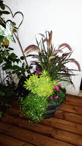 Atelier & Gardenhouse Glamping, Munich (photo 9)