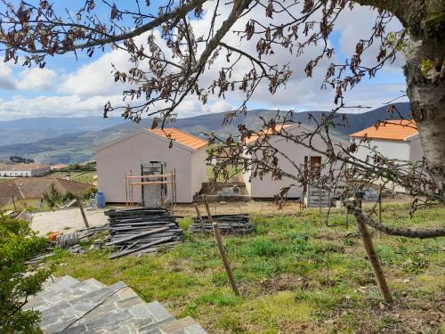 Quinta Manhas Douro - image 8