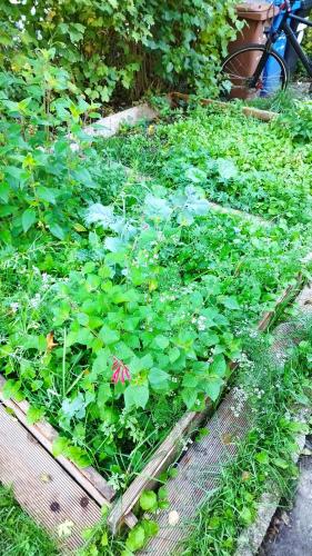 Atelier & Gardenhouse Glamping, Munich (photo 8)