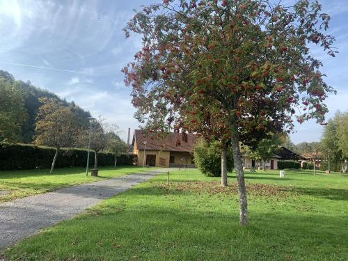 Camping De La Sarre in Abreschviller