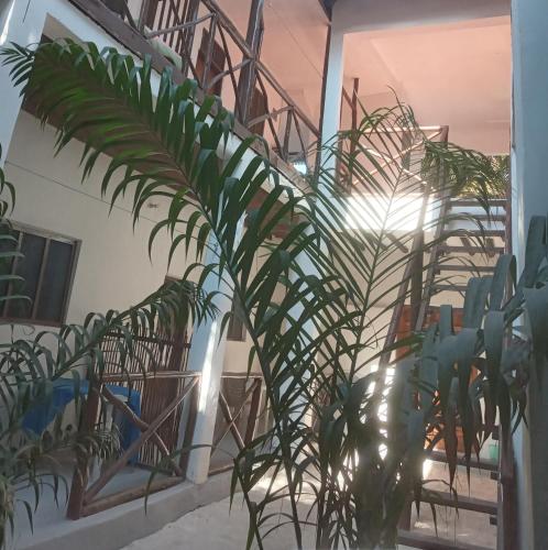 New Iddi Villa