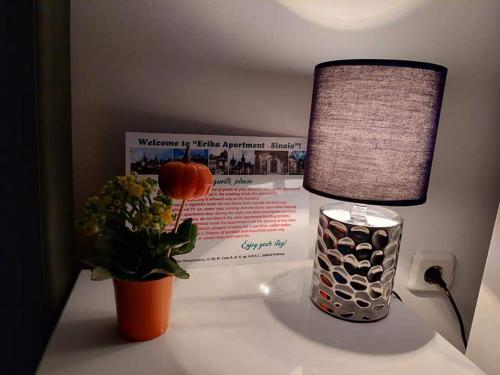 Apartament Erika Sinaia