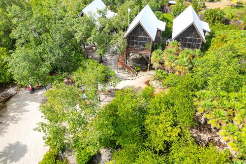 Inn The Trees Cabañas