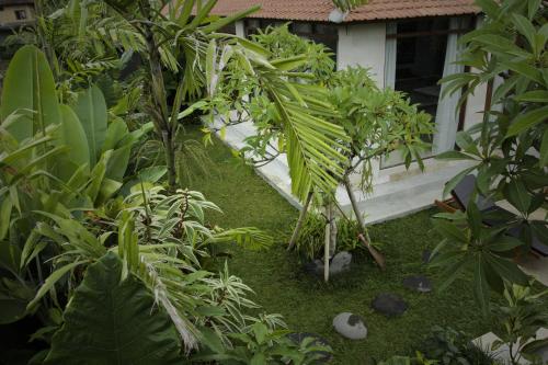 Dugul Ubud