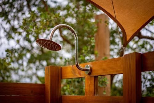 Pitahaya Glamping - image 9