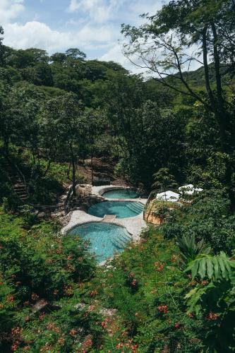 403661199 Suitree Experience Hotel