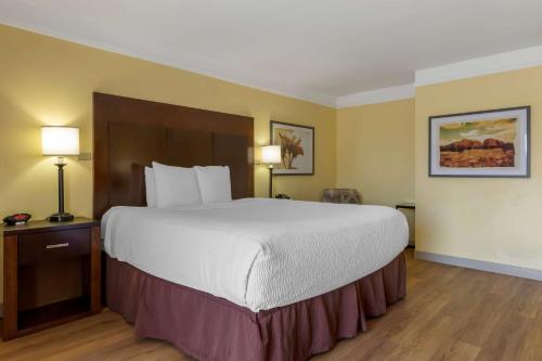 1 king bed