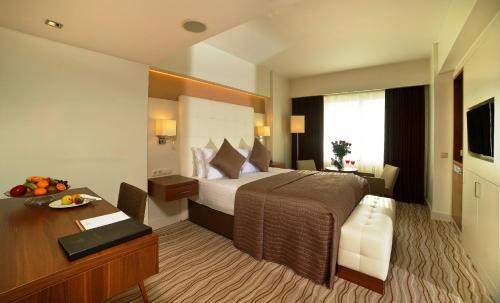 Radisson Hotel President Old Town Istanbul, Istanbul (photo 6)