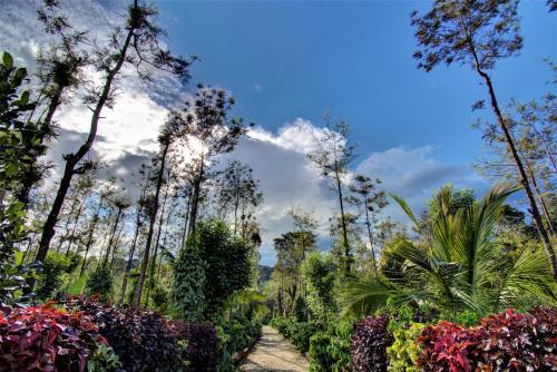 Coorg Bliss Estate Stay - image 2