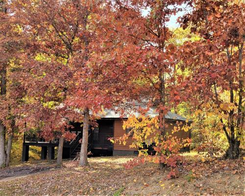 Smoky Mtn Memories-Free tickets- Sleeps 6 in Pigeon Forge, USA