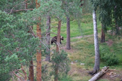 Bograngen Lgh C in Bograngen