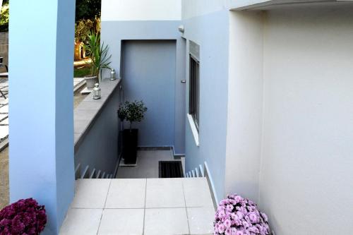Olive and Orange Apartment 2