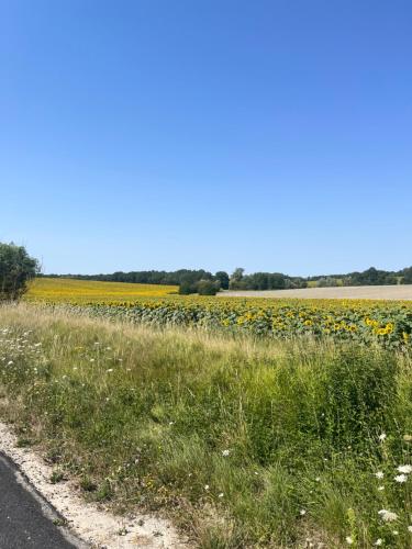 Stunning 2 bedroom townhouse in pretty village in Mézières-en-Brenne
