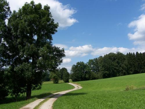 Der Blankhof Back to Roots - image 12