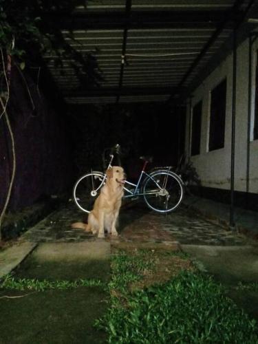 Relaxing apartment l Revenla garden l in Matara