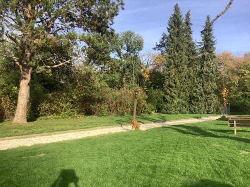 Doppelzimmer mit neuem Bad und Sportpool-Nutzung außen, im Souterrain der Villa Naturpark, Garten mit Rheinblick