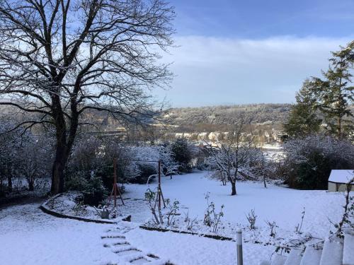 Doppelzimmer mit neuem Bad und Sportpool-Nutzung außen, im Souterrain der Villa Naturpark, Garten mit Rheinblick