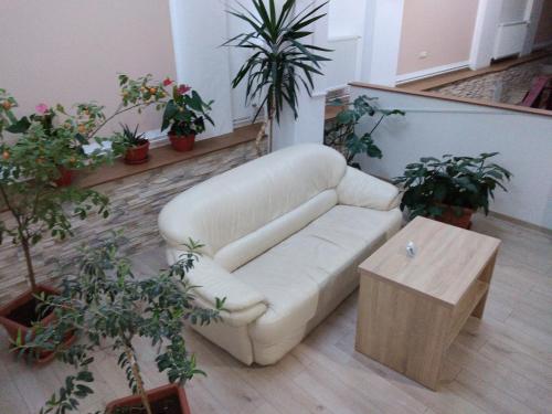 Зручності, Pensiunea Casa Rusu in Бая-Маре