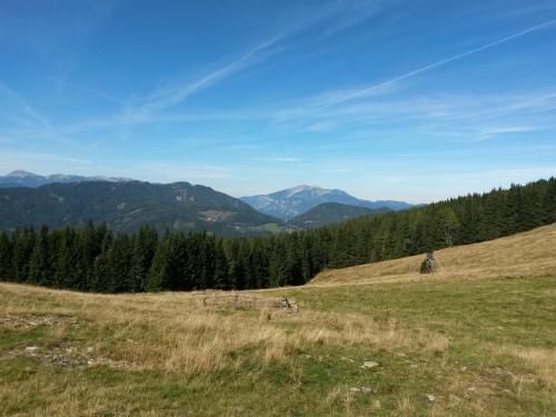 Hubertushof - image 13