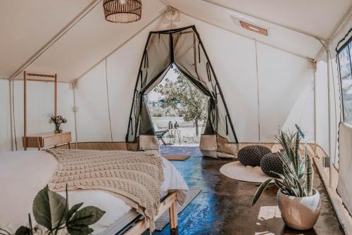 Salterra Glamping in Tequisquiapan, Mexico