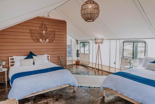 Salterra Glamping