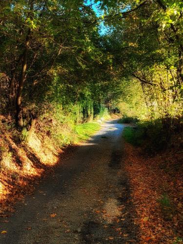 Rustic cottage JARILO, an oasis of peace in nature