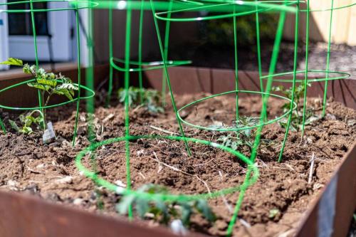 Adorable & Pet Friendly-Close to U and Downtown!