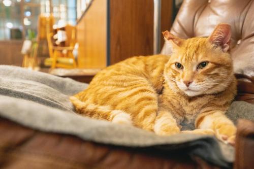 OrigInn Space OrigInn Space