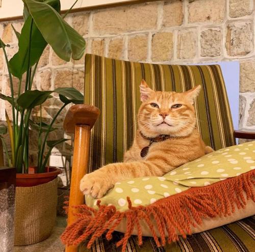 OrigInn Space OrigInn Space