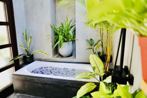Deluxe Double Room with Bath image 5