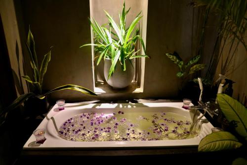 Deluxe Double Room with Bath image 1