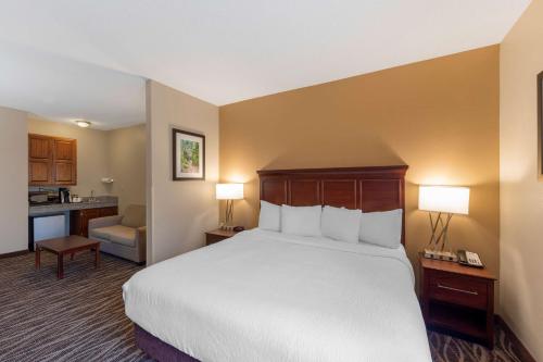 Best Western Plus Russellville Hotel & Suites - image 9