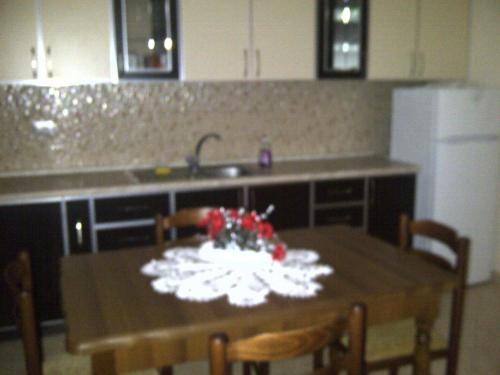Guesthouse Fatos Biti - image 3