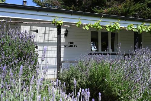 St Leonards Vineyard Cottages - Accommodation - Blenheim