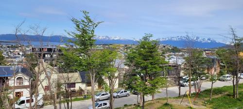 One-Bedroom Apartment room in Departamento Ushuaia