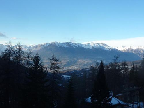 Studio central 4/6 pers, accès pistes, balcon, animaux admis - FR-1-322-59 Studio central 4/6 pers, accès pistes, balcon, animaux admis - FR-1-322-59