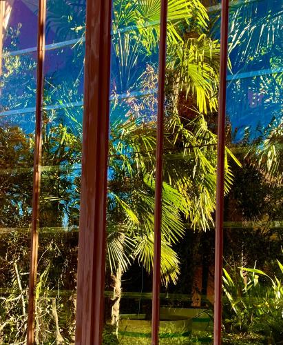 RÖSCH Apartment RÖSCH Apartment