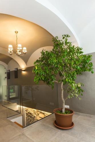 Apáca 30 Apartman **** Győr (Apaca 30 Apartman **** Gyor) in Győr