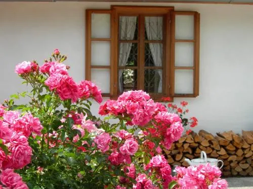 Ferienhaus Moarhofstöckl Weiz in Weiz, Österreich