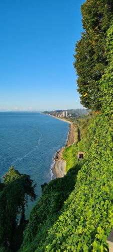 Utopia on Green Cape Utopia on Green Cape