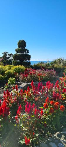 Utopia on Green Cape Utopia on Green Cape