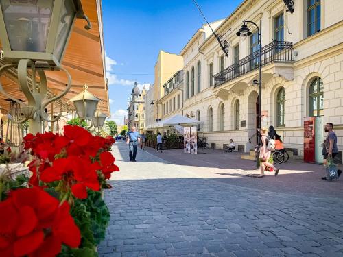 Prosportówek - Powidz - Dom Bliźniak nad Jeziorem z Dużym Ogrodem (Prosportowek - Powidz - Dom Blizniak nad Jeziorem z Duzym Ogrodem) in 波維茲