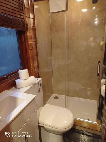 Lurchers Cabin Aviemore - main image