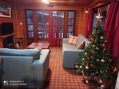 Lurchers Cabin Aviemore - image 7